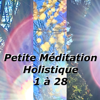 Videos Petites Méditations Holistiques 1 à 28