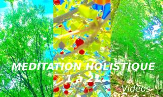 Vidéos Longues Méditations Holistiques 1 à 21